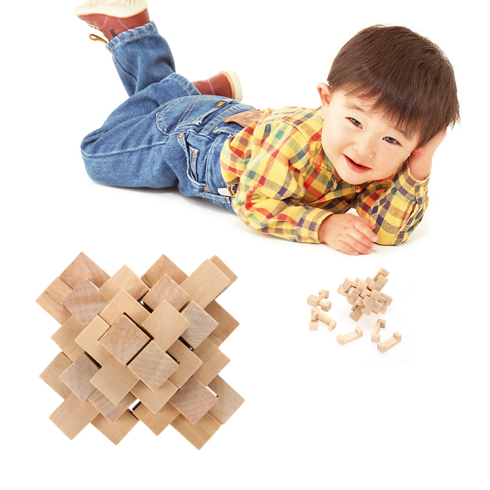 Wooden Chinese Traditional Puzzle